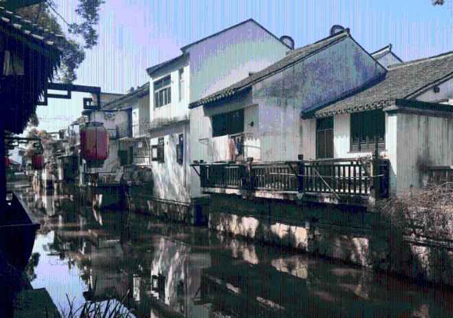 蛇头鱼放入-12℃冰箱冻起来，10小时后它还能复活吗？结果出乎意料游戏画面